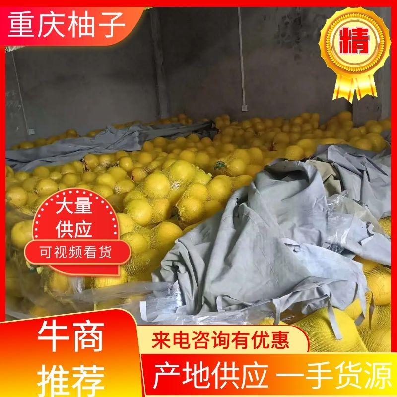 重庆柚子大量上市产地供应质量保证货源充足欢迎订购