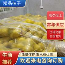重庆酉阳县精品柚子，万亩基地，一手货源，欢迎来电咨询