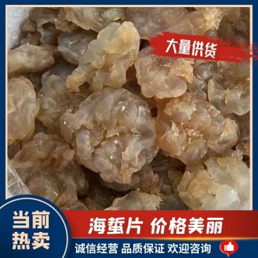 山东海蜇一手货源，酒店、电商合作伙伴，货源充足。可长期