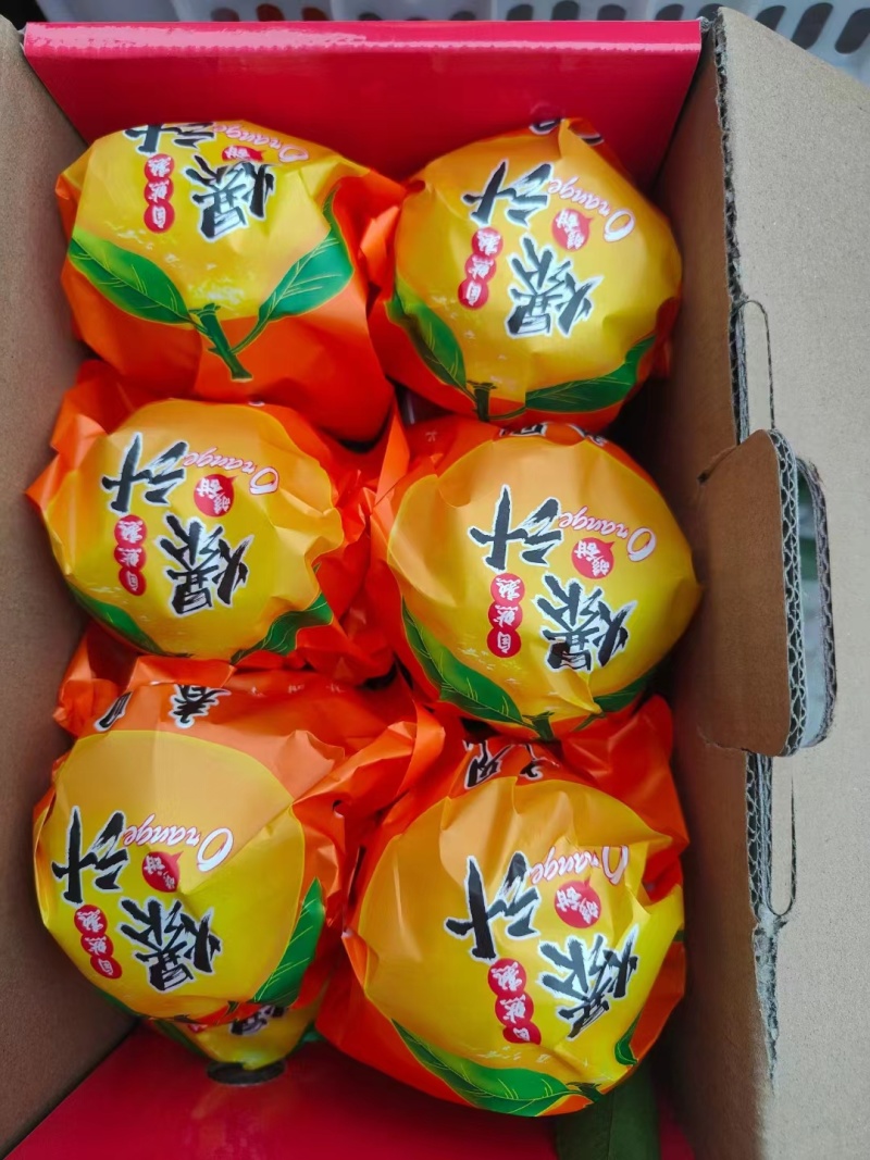 四川春见粑粑柑，产地直销，一手货源，规格齐全，质量保证