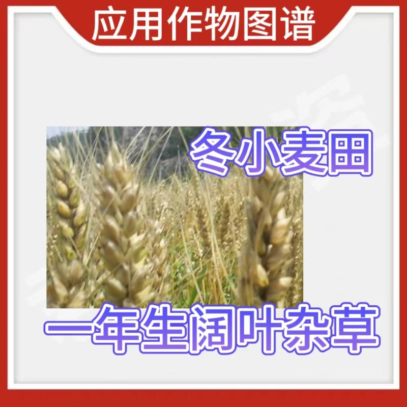 秒莎阔48%2甲·氯·双氟除草剂