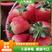 万亩草莓久香联盟天仙醉艳丽，货源稳定精品包装，供应全国