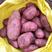 云南本地土豆青薯9号土豆对接电商市场商超等各类客户