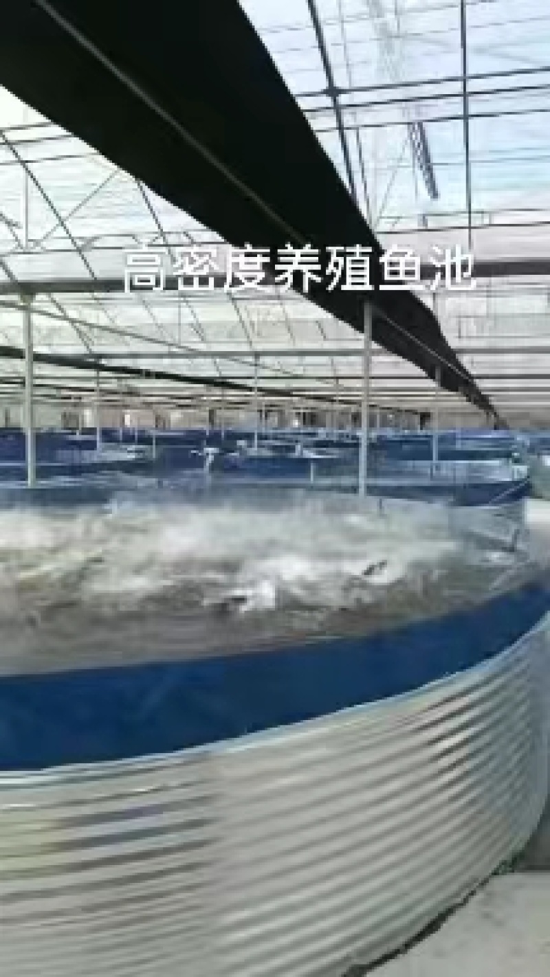 镀锌板养殖鱼桶高密度刀刮布养殖池水产育苗用养殖桶厂家直发