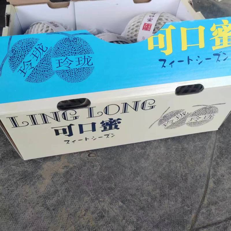 海南哈密瓜网纹产地直发价格便宜欢迎致电