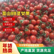 【有好货】山东平度釜山88圣女果玲珑小番茄对接商超档口