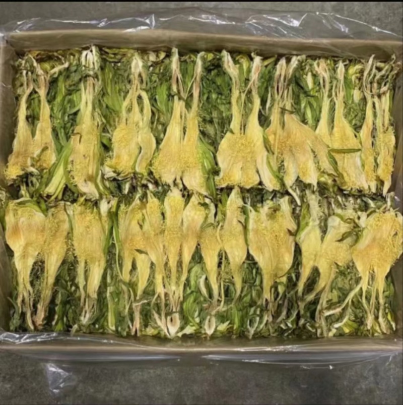 【精品干霸王花】广东基地直供质量保证一手货源欢迎订购