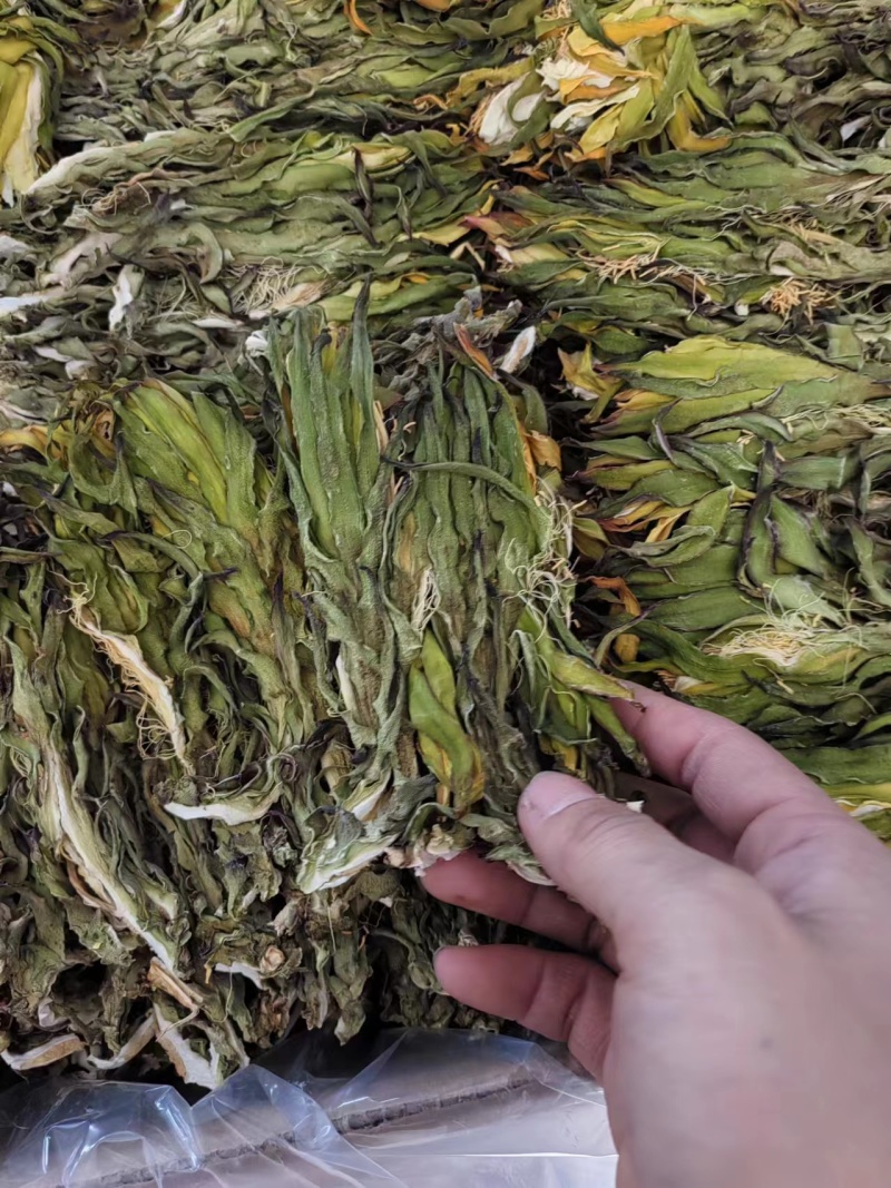 【精品干霸王花】广东基地直供质量保证一手货源欢迎订购