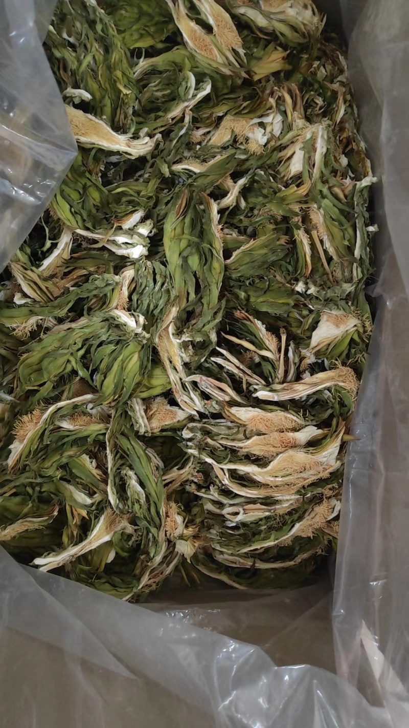 【精品干霸王花】广东基地直供质量保证一手货源欢迎订购