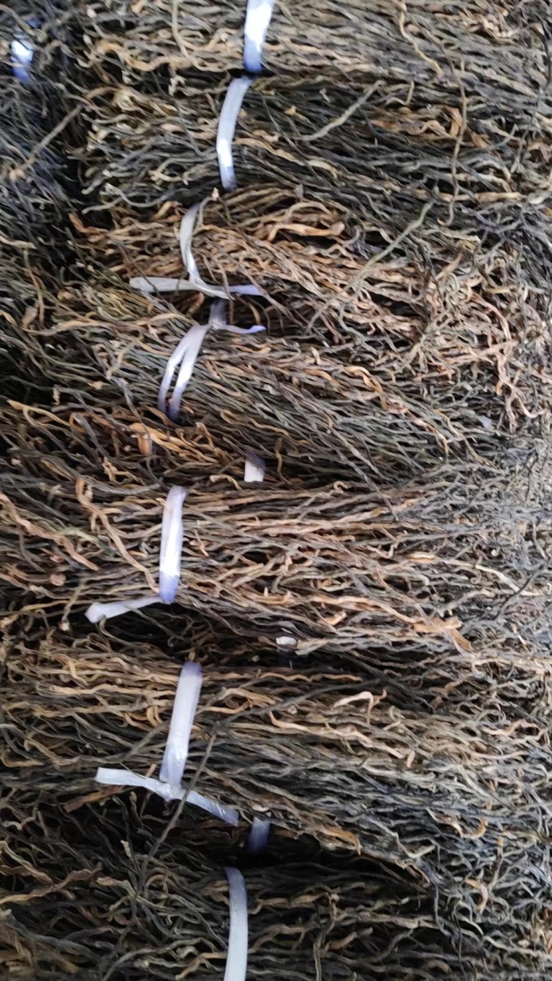 【精品】脱水长豆角干豆角质量保证一手货源欢迎订购
