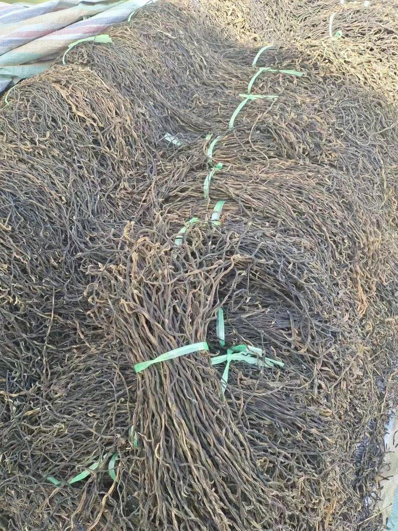 【精品】脱水长豆角干豆角质量保证一手货源欢迎订购