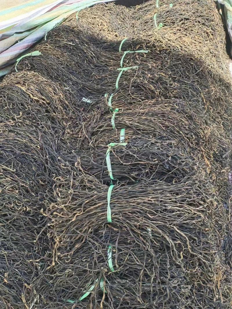 【精品】脱水长豆角干豆角质量保证一手货源欢迎订购