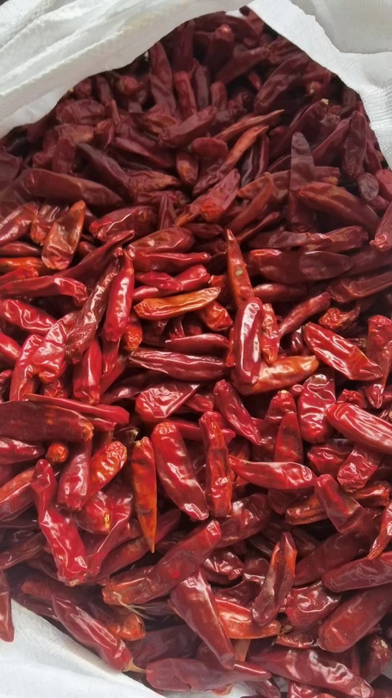 子弹头干辣椒大量供应产地直发质量保证货源充足欢迎订购