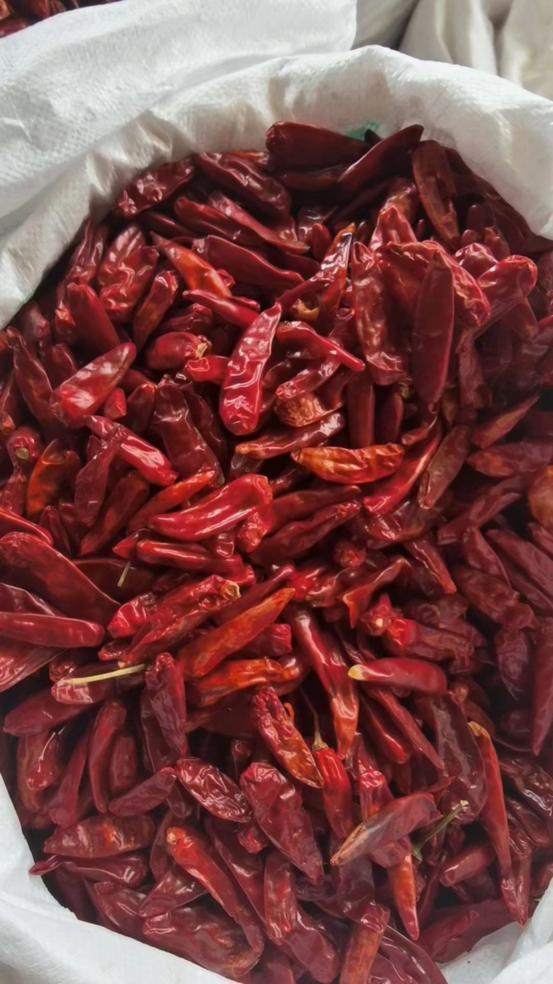 子弹头干辣椒大量供应产地直发质量保证货源充足欢迎订购