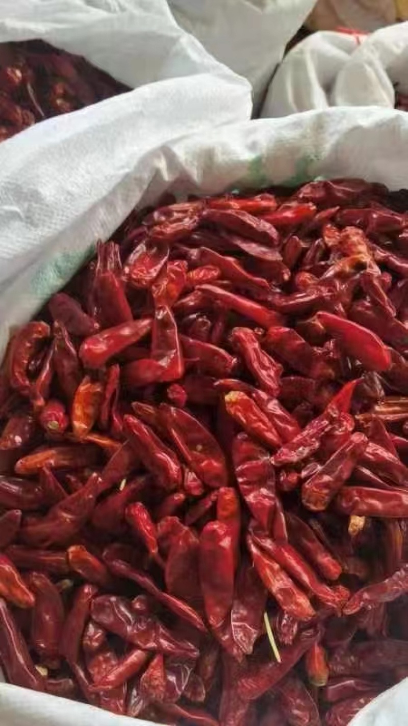 子弹头干辣椒大量供应产地直发质量保证货源充足欢迎订购