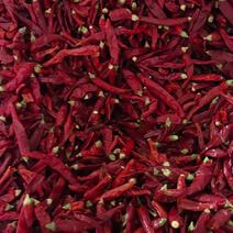 印度干辣椒大量供应一手货源质量保证价格美丽欢迎订购
