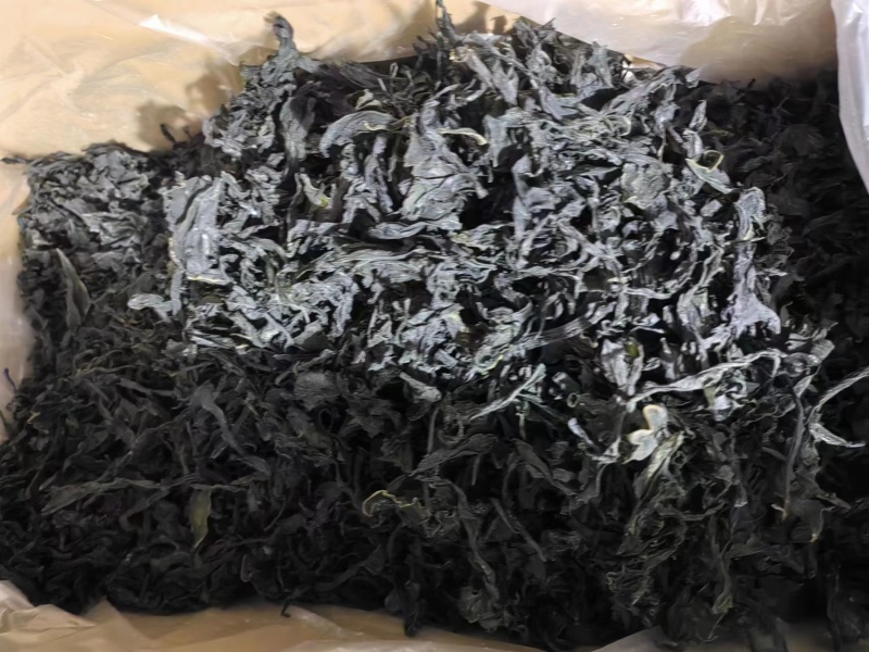 干裙带菜无盐无沙质量保证基地直供一手货源量大优惠
