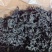 干裙带菜无盐无沙质量保证基地直供一手货源量大优惠