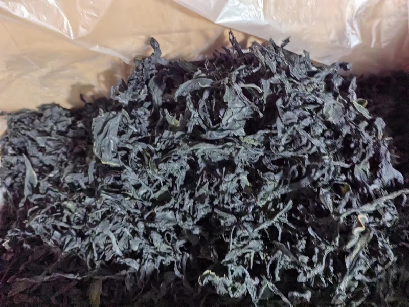 干裙带菜无盐无沙质量保证基地直供一手货源量大优惠