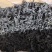 干裙带菜无盐无沙质量保证基地直供一手货源量大优惠