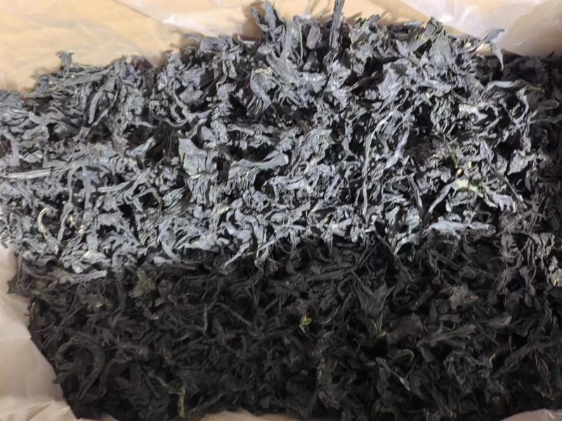干裙带菜无盐无沙质量保证基地直供一手货源量大优惠
