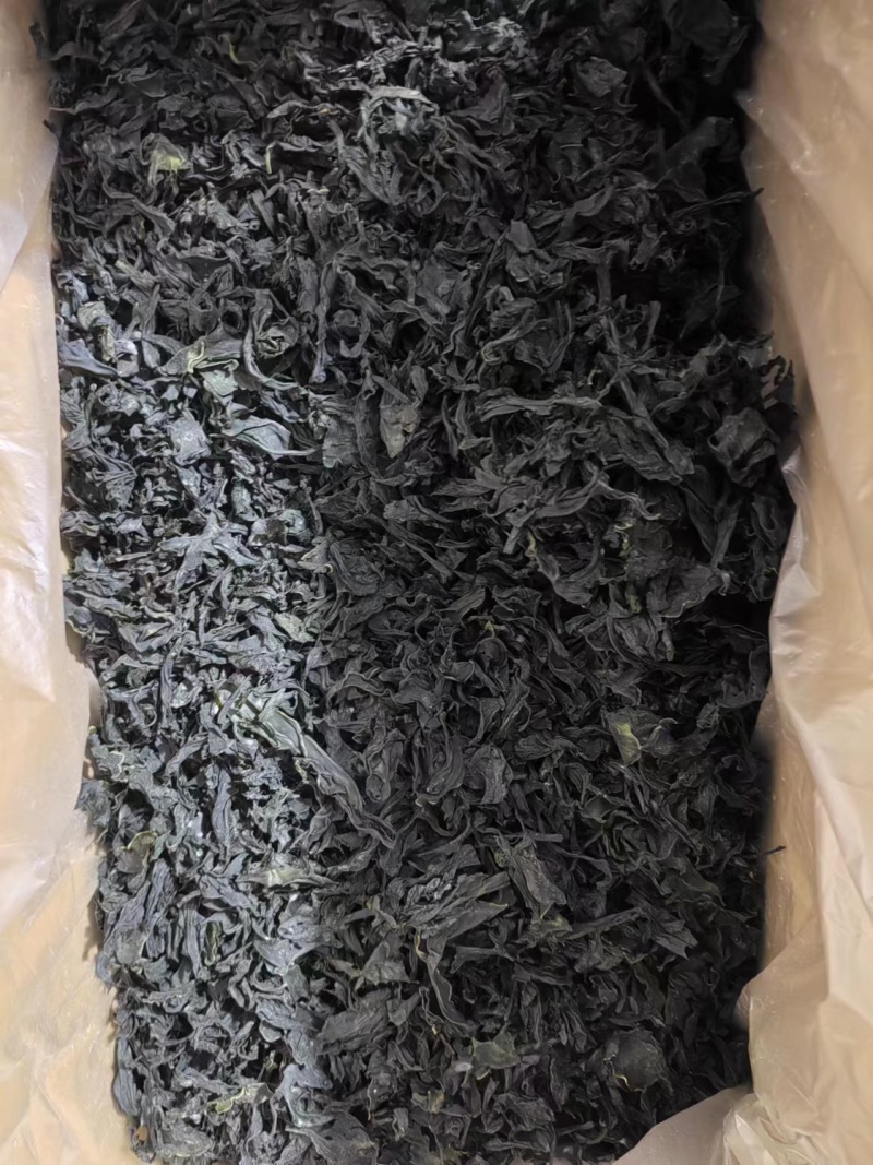 干裙带菜无盐无沙质量保证基地直供一手货源量大优惠