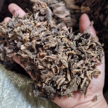 精品梅干菜大量供应产地直发质量上乘货源充足欢迎订购