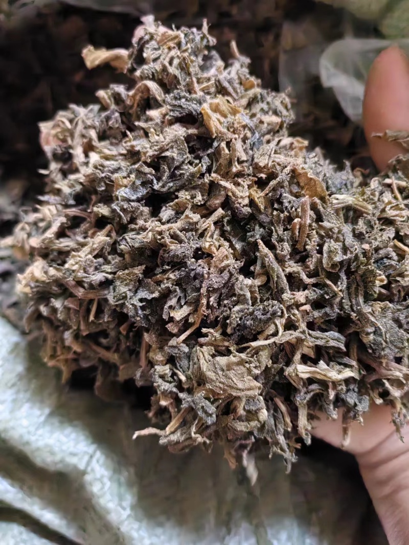 精品梅干菜大量供应产地直发质量上乘货源充足欢迎订购