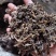 精品梅干菜大量供应产地直发质量上乘货源充足欢迎订购