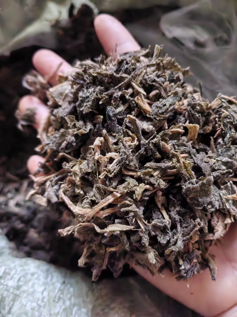 精品梅干菜大量供应产地直发质量上乘货源充足欢迎订购