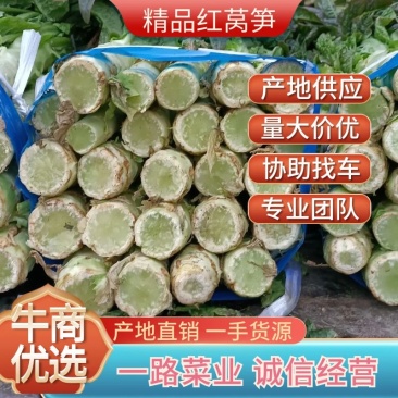 红莴笋2斤以上产地供应皮薄青肉可视频看货欢迎来电