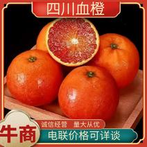 【正宗】四川血橙大量现货供应量大价优欢迎老板来电合作