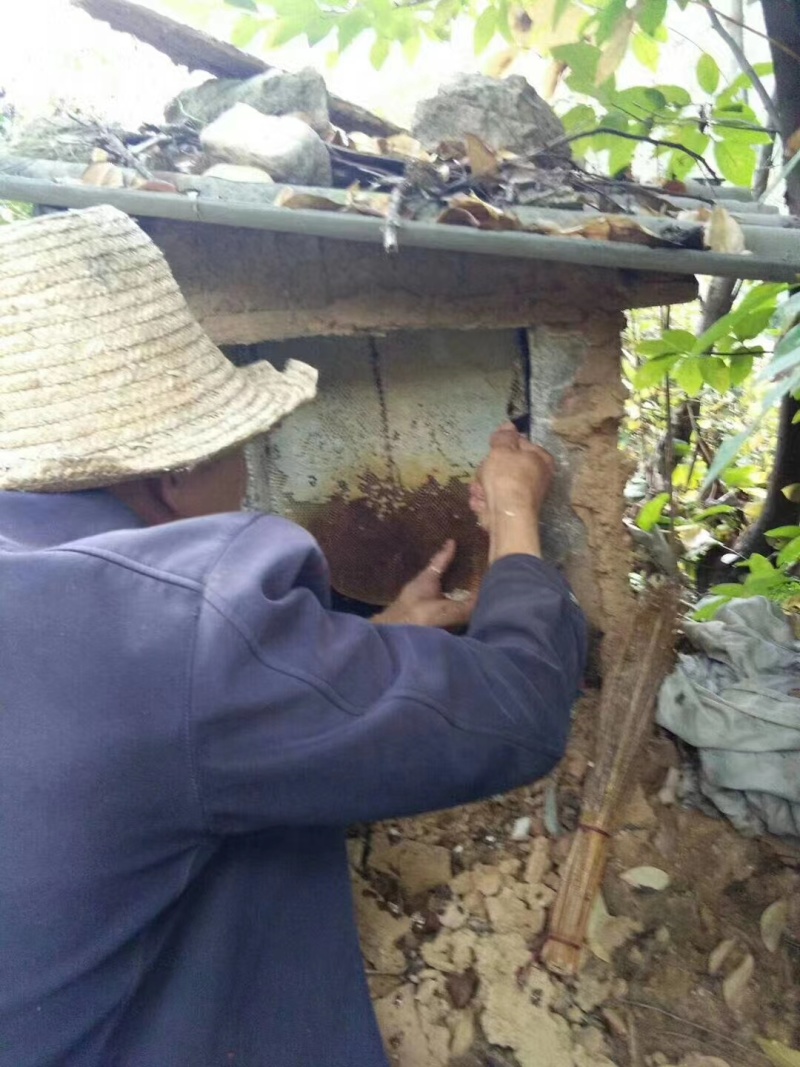 尧山正宗土蜂蜜，品质保证，一手货源，欢迎大家来电咨询