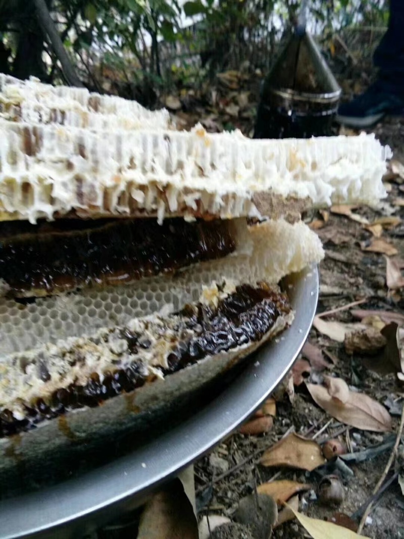 尧山正宗土蜂蜜，品质保证，一手货源，欢迎大家来电咨询