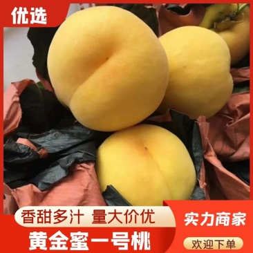 黄金蜜1号黄金蜜黄毛桃汁甜如蜜整车批发现摘先发果园直达