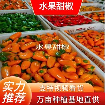 【热卖】优质供货电商，水果甜椒，价格优惠，全国代发优惠