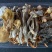【精品】鹿茸菇，菌汤包，支持一件代发，质量保证
