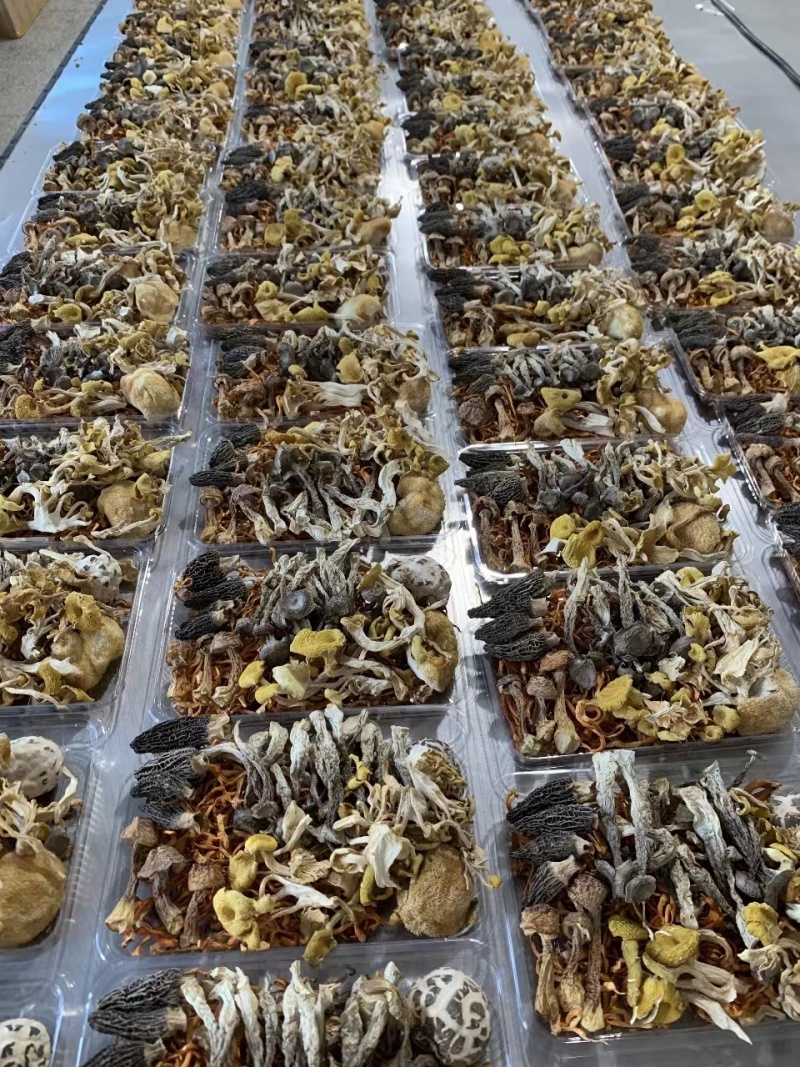 【精品】鹿茸菇，菌汤包，支持一件代发，质量保证