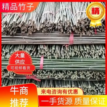 精品竹子竹竿南竹规格齐全品质保证量大从优欢迎联系