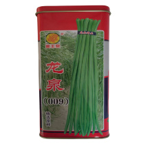 龙泉豇豆种子翠绿色龙泉009豆角种子高产露地春夏秋