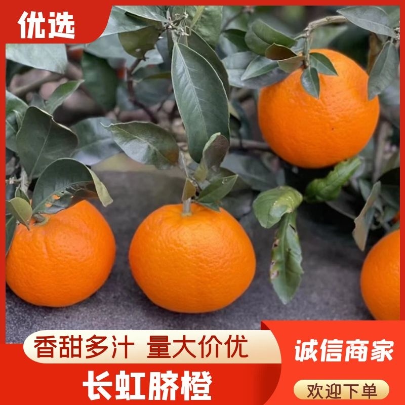 脐橙：纽荷儿：奉节脐橙：长虹：二级果：次果