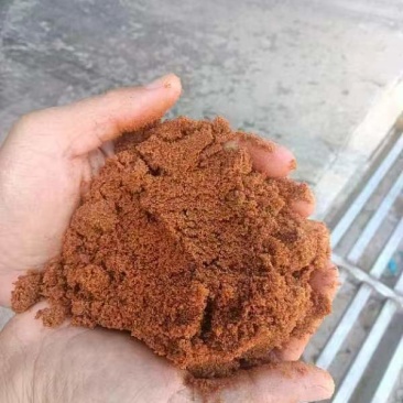 农业红糖水产养殖培菌养殖用红糖批发零售25kg/袋