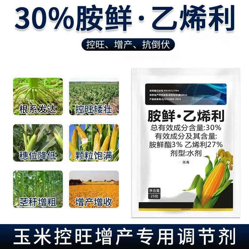30%胺鲜乙烯利玉米增产控旺増粗缩短节间抗倒增产