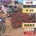 【优选】精品红叶李5-10公分出售苗厂直发全国代发