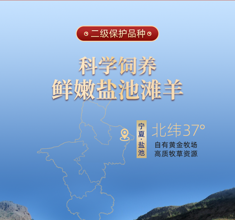 宁夏盐池滩羊肉4.7斤金钻轻奢礼盒整箱冷冻羊蝎子羊前腿