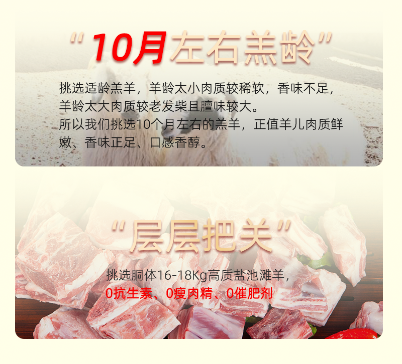 宁夏盐池滩羊肉4.7斤金钻轻奢礼盒整箱冷冻羊蝎子羊前腿