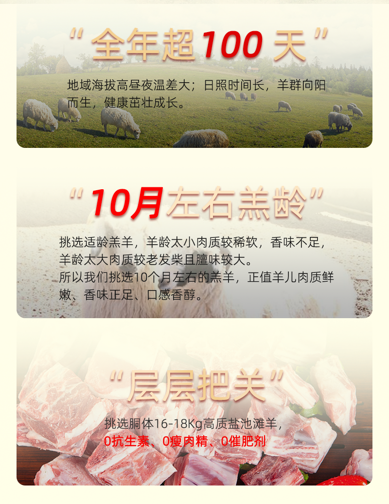 宁夏盐池滩羊肉10.6斤金钻轻奢礼盒整箱冻品羊腱子羊前腿
