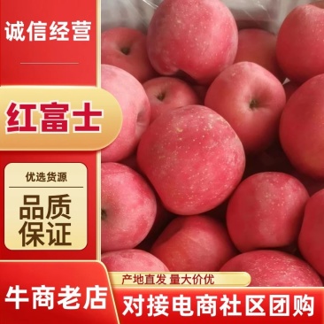 辽宁红富士苹果，品质保证，大量有货，欢迎大家来电咨询