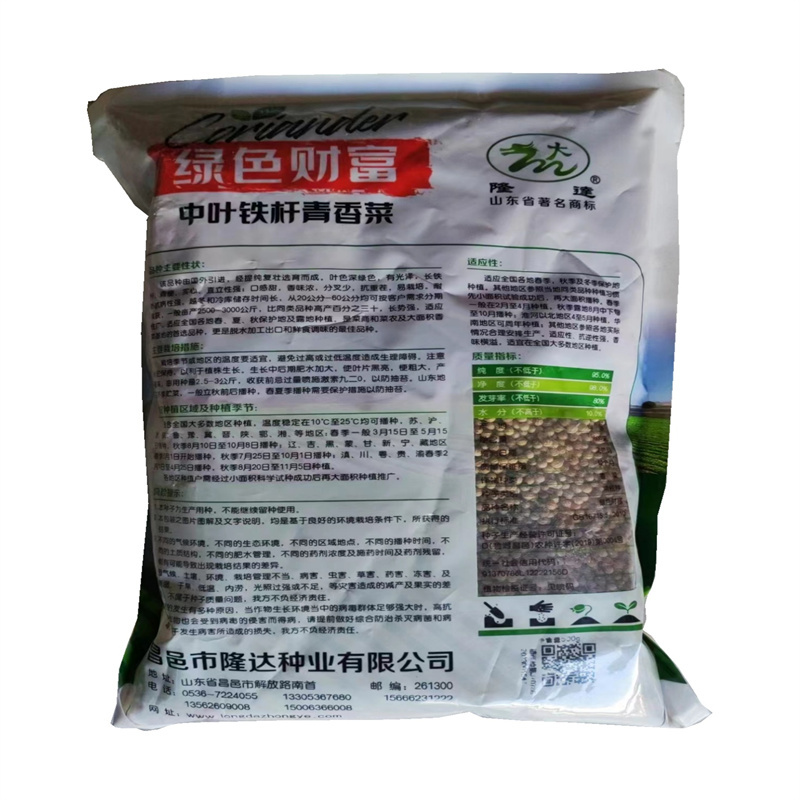 中叶铁杆青香菜种子绿色财富实心直立性强芫荽种子抗热抗重茬