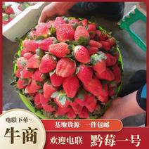 大凉山黔莓一号现摘现发，规格可选，包装多样，欢迎联系